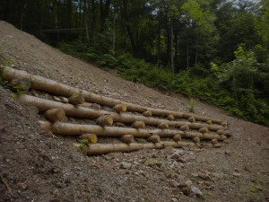 opere in legname ingegneria naturalistica Ricomposizione di versante in frana con palificate doppie Valli del Pasubio