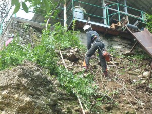 disbosco bonifica pareti Disbosco di parete rocciosa Valdagno