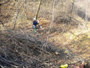 disbosco bonifica pareti Recupero legname con verricelli e tirfor in pareti rocciose Piovene Rocchette