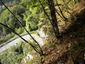 disgaggi bonifica pareti Ispezione di parete rocciosa per caduta massi Valdagno