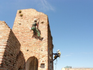 lavori su edifici lavori in fune Pulizia delle mura da erbe infestanti Cittadella