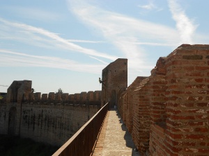 lavori su edifici lavori in fune Pulizia delle mura da erbe infestanti Cittadella Padova